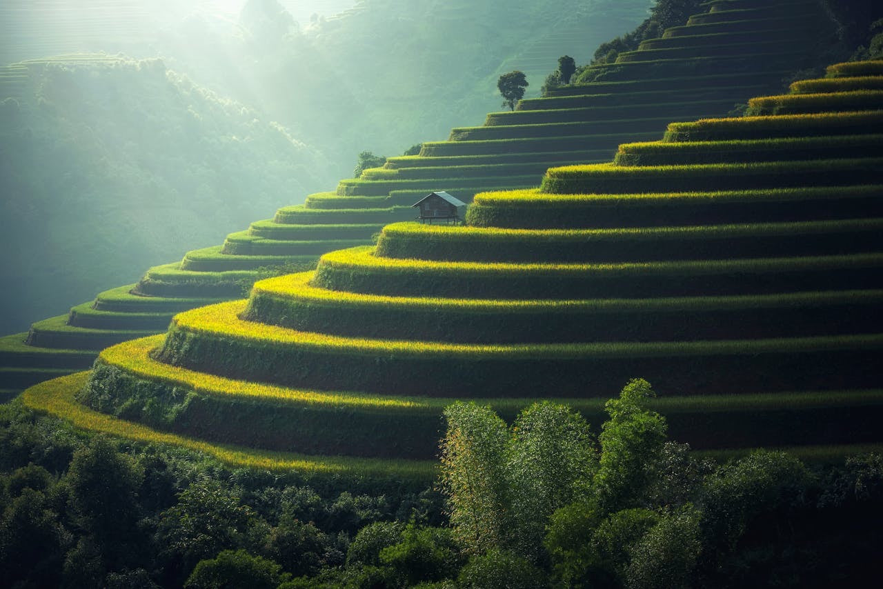 NATURE