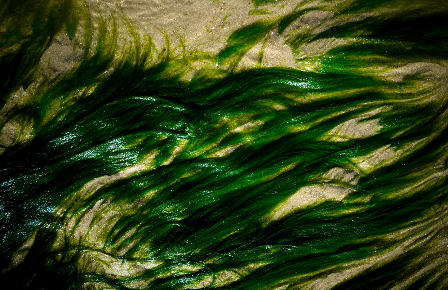 26
